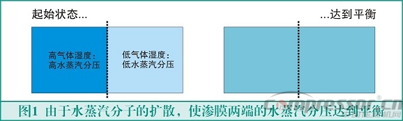 膜式干燥器的原理與應用