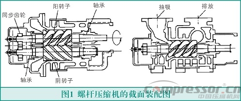 螺桿式壓縮機轉子故障與檢測