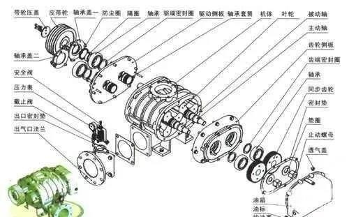 羅茨風機結(jié)構(gòu)及工作原理解剖圖！