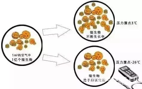 食品行業(yè)壓縮空氣品質(zhì)令人擔(dān)憂，正是后處理和無(wú)油機(jī)的機(jī)會(huì)所在！