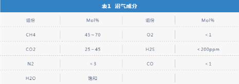 挖掘新市場！噴油螺桿壓縮機在沼氣增壓行業也有用武之地